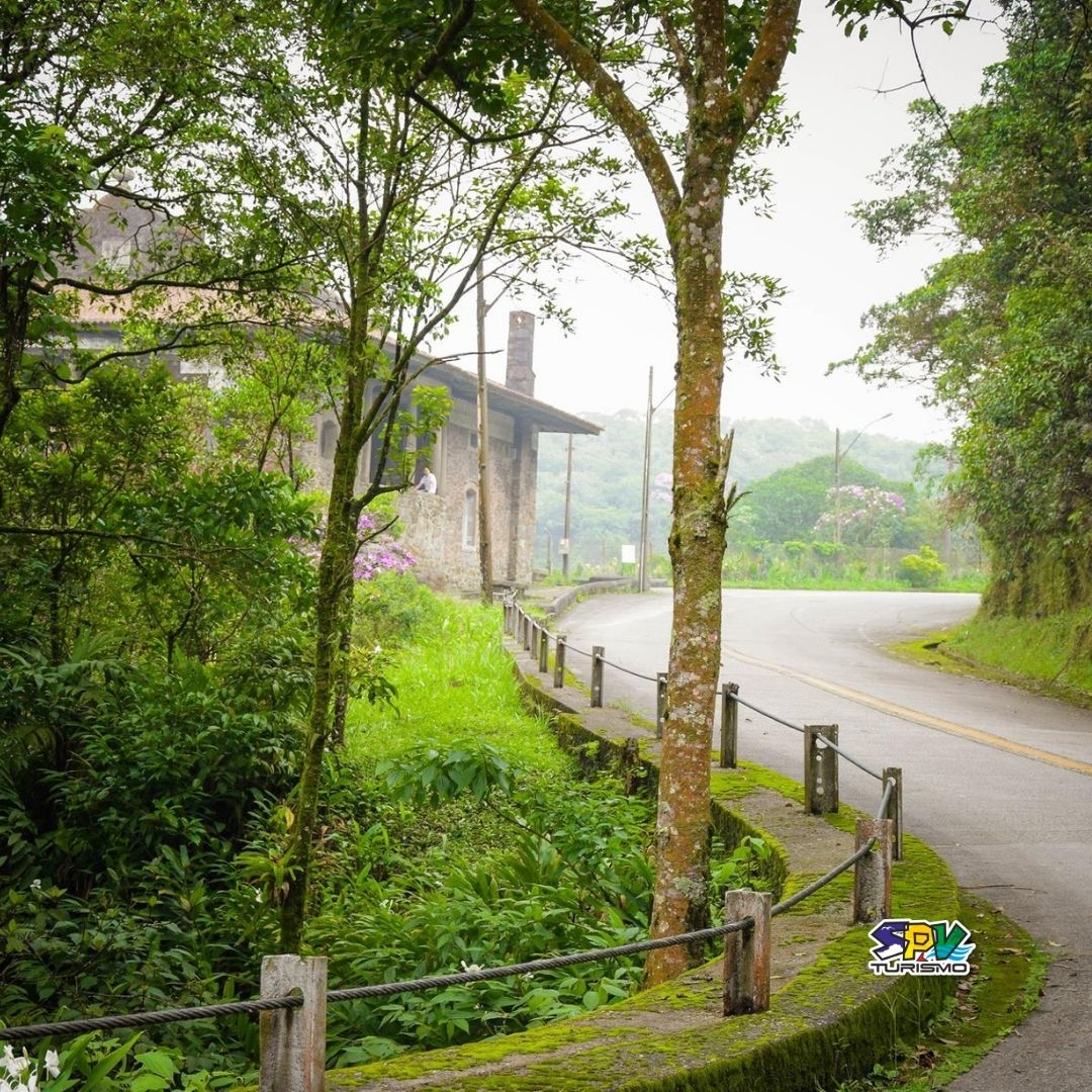 CAMINHADA NA ESTRADA VELHA DE SANTOS