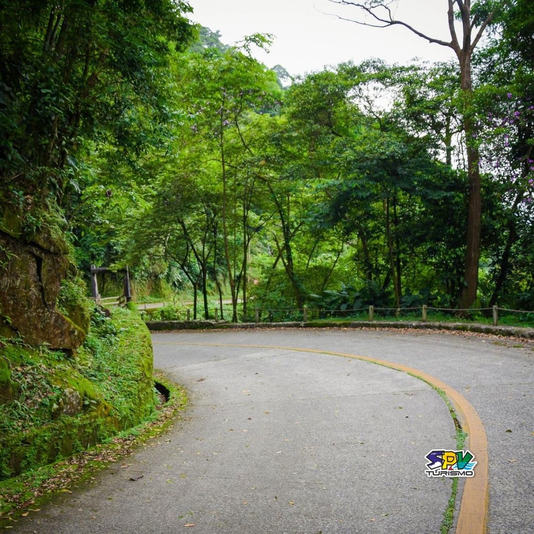 CAMINHADA NA ESTRADA VELHA DE SANTOS