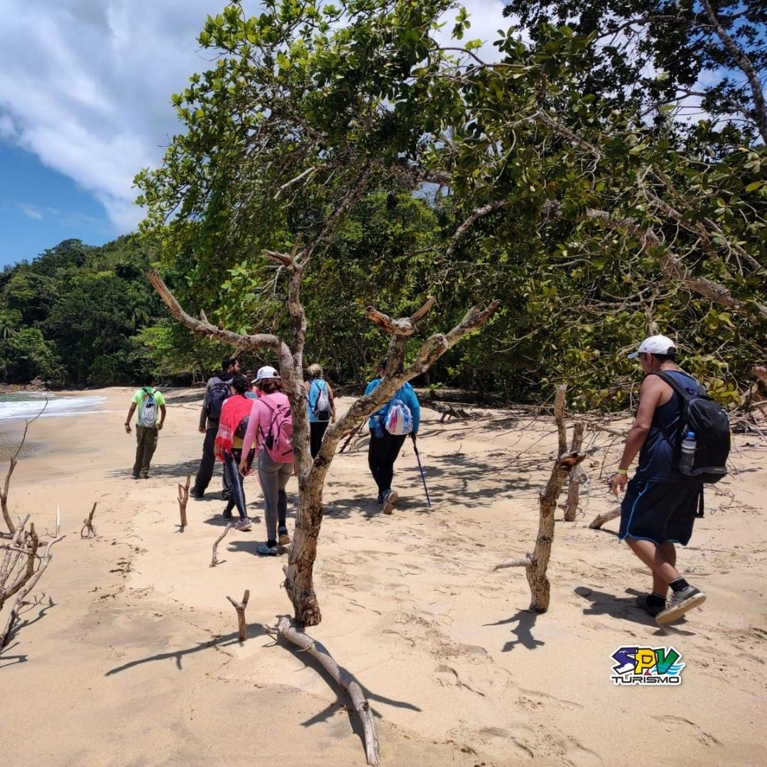 TRILHA DAS 7 PRAIA - UBATUBA